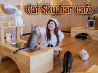 Cat Sky Bar Cafe - Pattaya