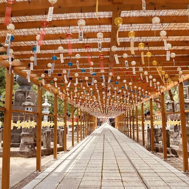 Solo Adventure to Takekoma Inari Shrine: A Hidden Gem by Train** 🚅⛩️