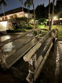 Stroll Through Serenity at Cyberview Resort’s APEC Garden