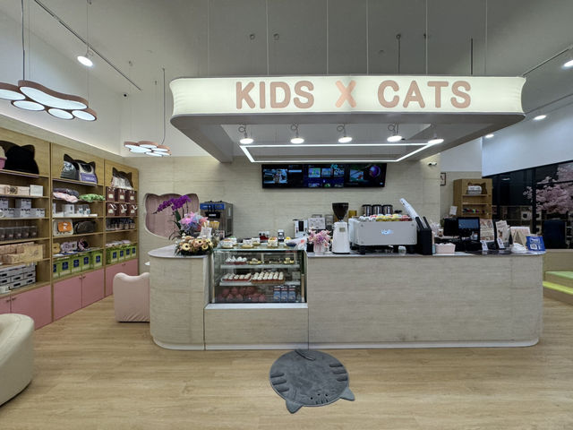 🐾 Kids X Cats Cafe — Fluffy Friends & Playful Vibes