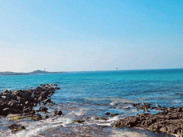 Jeju's Natural Frame for Picture-Perfect Memories