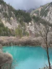 Aqua Terror: Jiuzhaigou’s Liquid Jade Insurgency