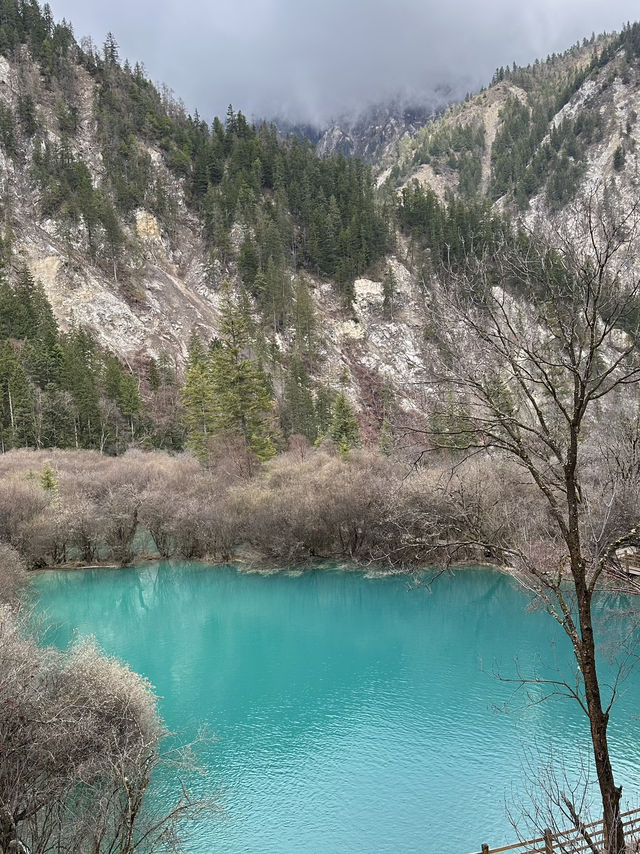 Aqua Terror: Jiuzhaigou’s Liquid Jade Insurgency