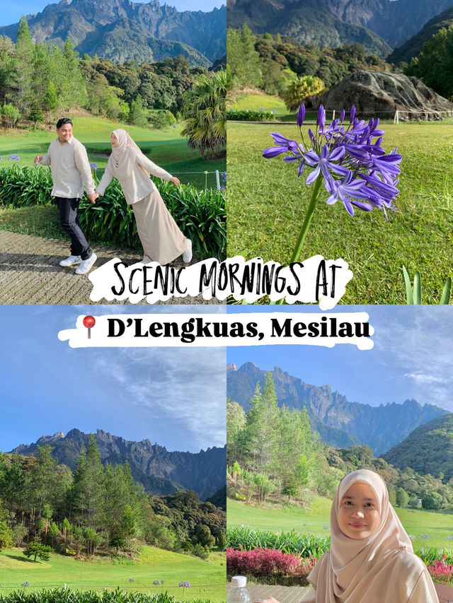 Scenic Mornings at D’Lengkuas, Mesilau