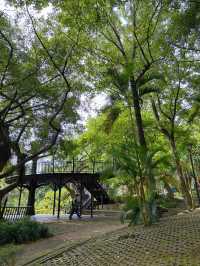 🌳奧爾森林學堂 藏身都市裡的森林教室:貓頭鷹樹屋、恐龍樂園、親子自然冒險一日遊!