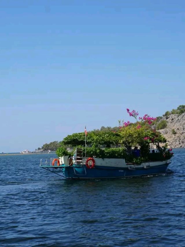 Sun, Sand, and Turtles at Iztuzu Beach