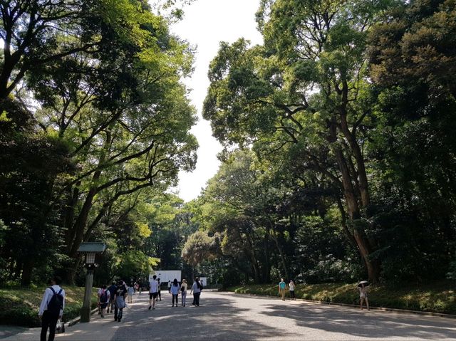 วัดเมจิ (Meiji Jingu) – ศาลเจ้าศักดิ์สิทธิ์