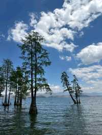 Erhai Lake – The Sapphire of Dali