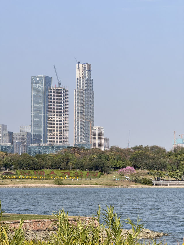 เดินเล่นที่ Shenzhen Bay Park 🤍