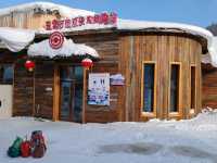 Snow Town: A Winter Fairy Tale