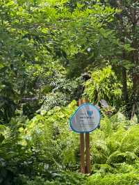 ชมธรรมชาติ ที่FLORA EXHIBITION HALLL 