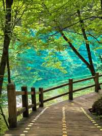 📍Jiuzhaigou — A Fairytale Hidden in the Mountains