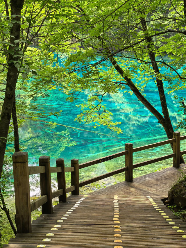 📍Jiuzhaigou — A Fairytale Hidden in the Mountains