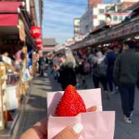 Sensoji Temple – Tokyo’s Most Iconic Temple