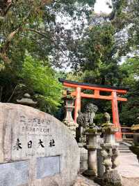 🦌 Deer, Temples & Tranquility: Nara Day Trip Under RM100!