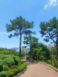 거제의 보물