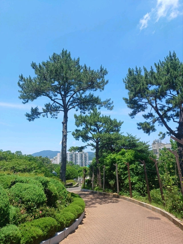 거제의 보물