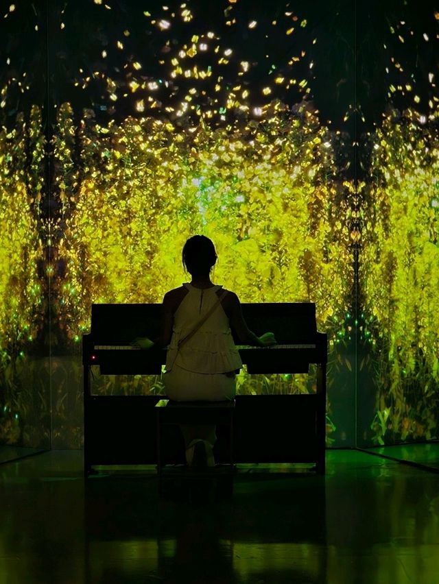 光と風が織りなす空間美。五感で感じる済州の“永遠の自然”🌿🎶