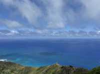 Brutal but Worth It! Conquering the Koko Head "Stairs of Doom" for Epic Views.