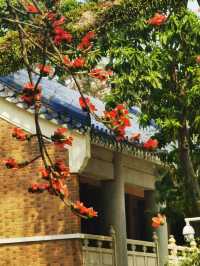 🌸 Golden Walls & Red Blossoms — A Literary Spring at Zhongshan Library