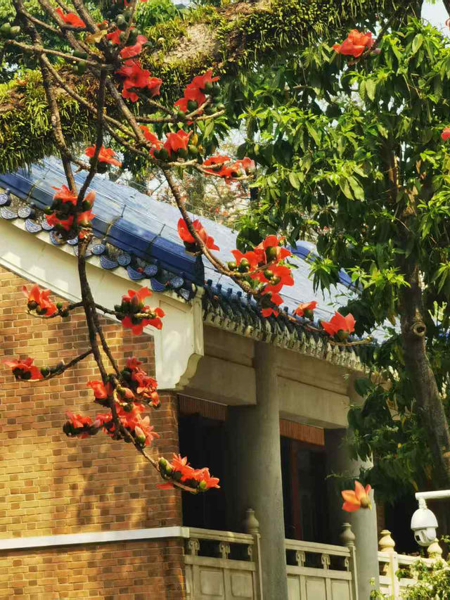 🌸 Golden Walls & Red Blossoms — A Literary Spring at Zhongshan Library