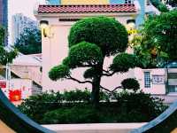 青衣公園蓮花池