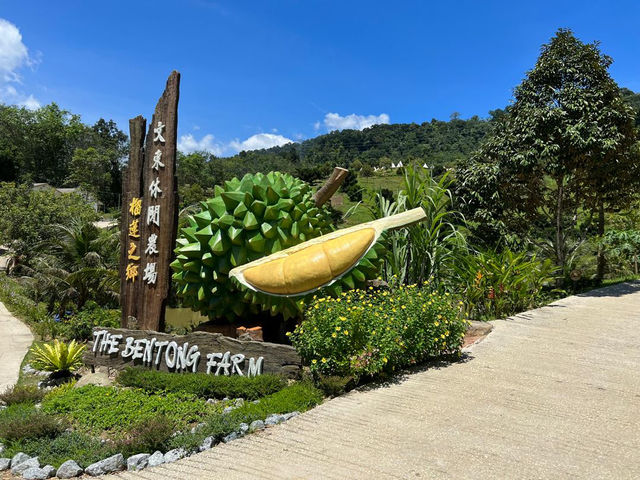 The Bentong Farm: Where Fruit Meets Fantasy
