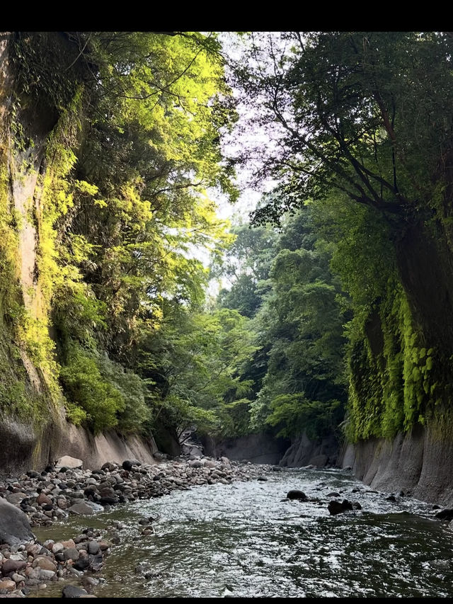 まるで東洋のチロル!由布川渓谷で自然美に包まれる冒険旅🌊 まるで東洋のチロル!由布川渓谷で自然美に包まれる冒険旅🌊