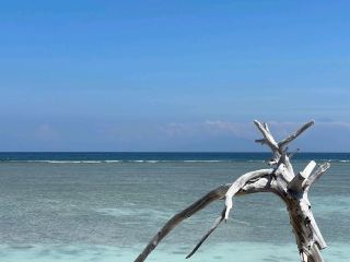 Gili Trawangan, the Island of Turtles