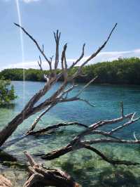 Nature Breezes at Laguna Nichupté