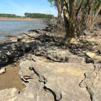 Falls of the Ohio State Park – "Where Fossils, River Views, and History Collide"