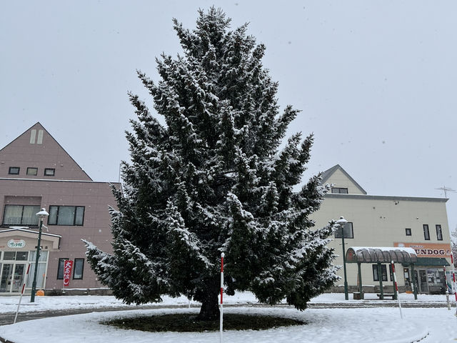 Hokkaido,Sapporo
