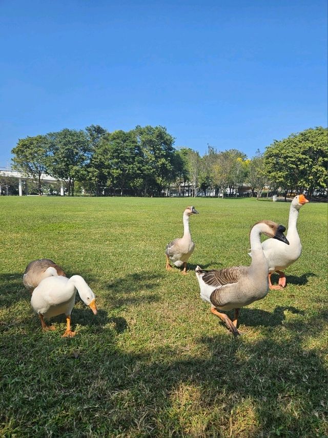 台南旅遊一定要去的景點 台南旅遊一定要去的景點