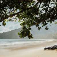 Sacred Stillness in the Rainforest