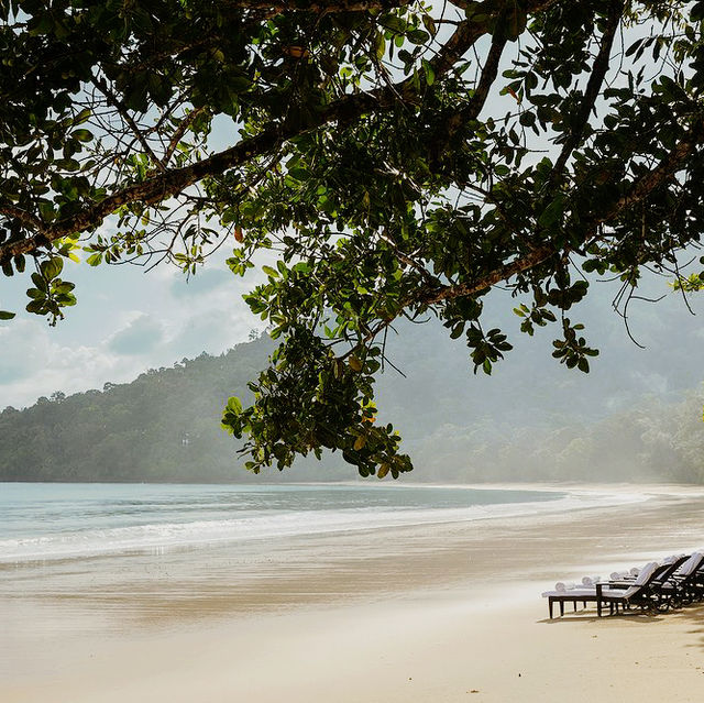 Sacred Stillness in the Rainforest Sacred Stillness in the Rainforest