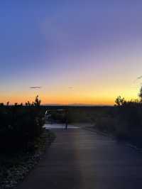 Pinnacles Desert- Out of this world view