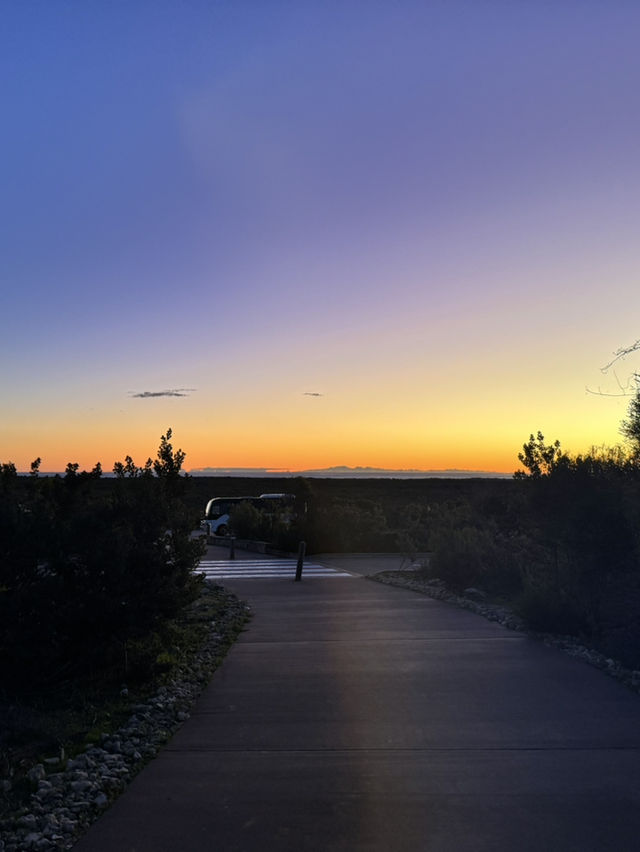 Pinnacles Desert- Out of this world view
