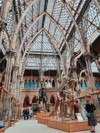 FREE entry, another amazing museum in Oxford, opened in 1860, was established to consolidate the university's scattered scientific collections and facilities into a single, purpose built space.