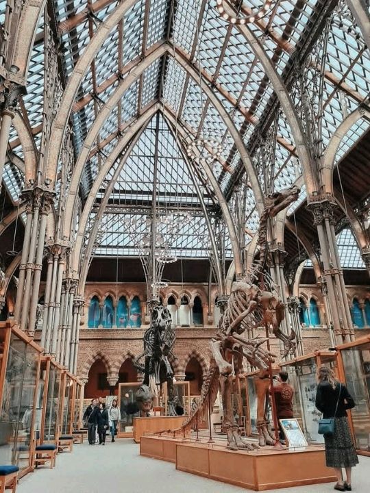 FREE entry, another amazing museum in Oxford, opened in 1860, was established to consolidate the university's scattered scientific collections and facilities into a single, purpose built space.