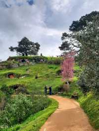 📽ตามรอยหนัง The Lord of the Rings @Hobbiton