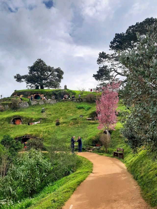 📽ตามรอยหนัง The Lord of the Rings @Hobbiton