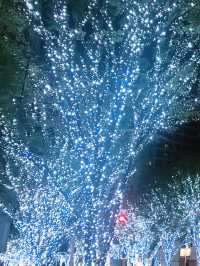 🎄Roppongi Hills Christmas Night Trip 🎅✨