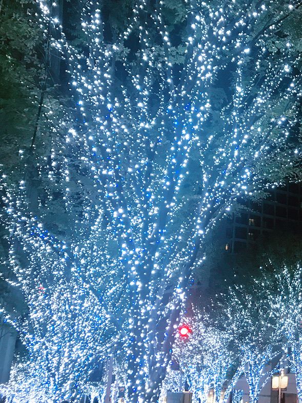 🎄Roppongi Hills Christmas Night Trip 🎅✨