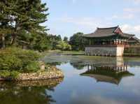 Echoes of Elegance at Donggung Palace & Wolji Pond