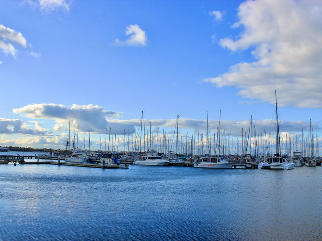 🚶‍♂️ Geelong Bollard Trail Walk – Art Meets Waterfront Charm