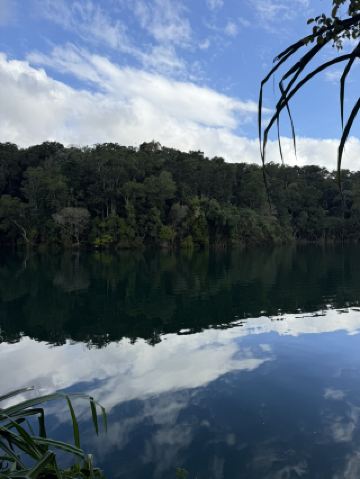 케언즈 아서턴 고원 레이크 이참