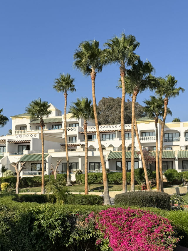 ☀️ 붉은 사막과 푸른 바다가 만나는 샤름 엘 셰이크 여행 🌴