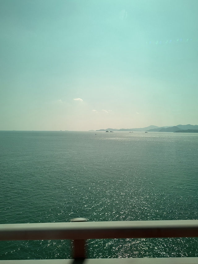 🌅 거제도에서 맞이한 황금빛 일출과 싱싱한 물회