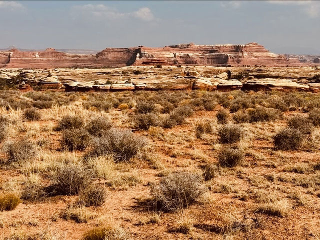 Messages in Stone: A Solo Journey to Newspaper Rock 🪨