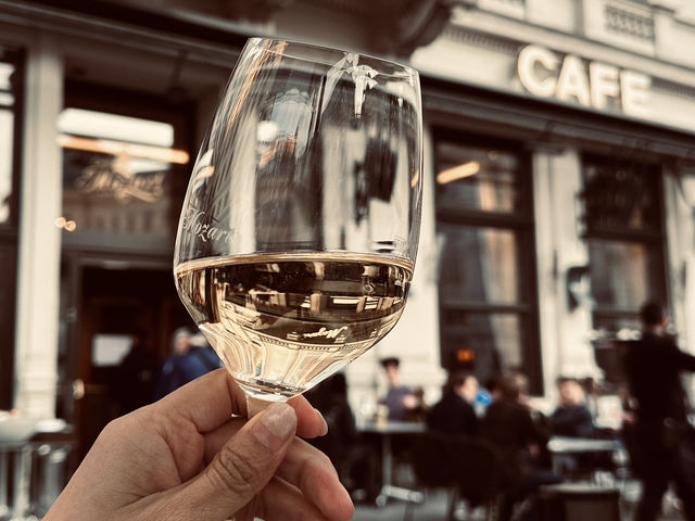 🇦🇹Waltzing Through Vienna, Moments in the City of Music 🇦🇹Waltzing Through Vienna, Moments in the City of Music